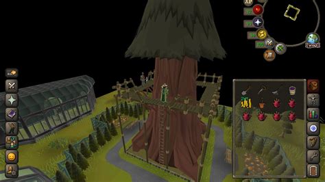 They are made by planting a redwood seed in a filled plant pot, with a gardening trowel in your inventory, then watering the redwood seedling with a watering can or by casting Humidify. . Redwood sapling osrs
